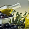 Προετοιμασία για την Πιστοποίηση “Pro Olive Oil Expert”| paso.gr